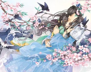 蜜芽最新地域网名